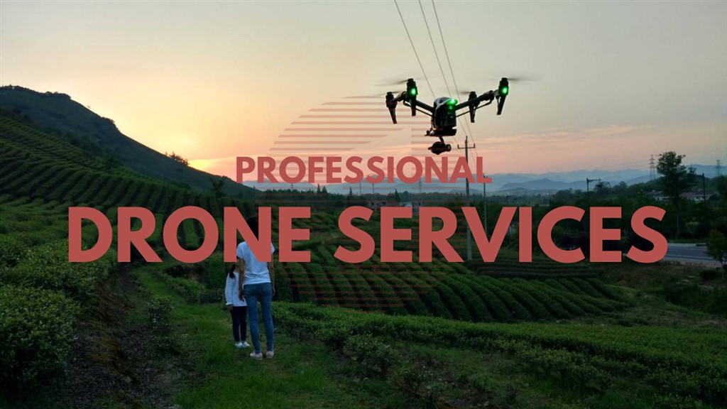 Shanghai Drone Services